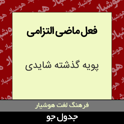 تصویری از فعل ماضی التزامی