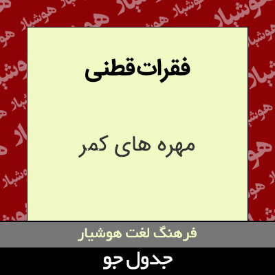 تصویری از فقرات قطنی