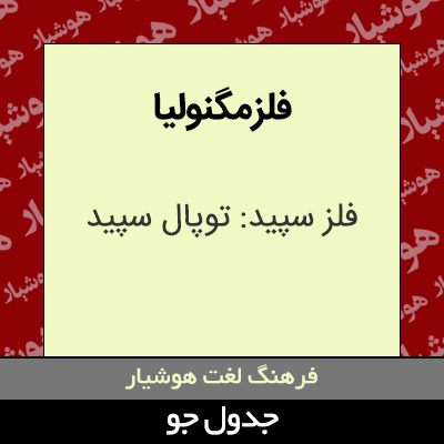 تصویری از فلز مگنولیا