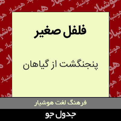 تصویری از فلفل صغیر