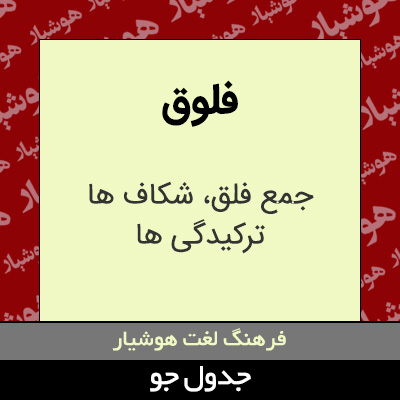 تصویری از فلوق