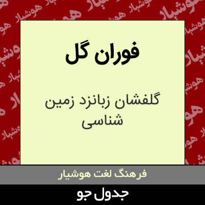 تصویری از فوران گل