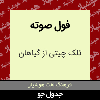 تصویری از فول صوته