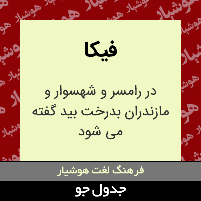 تصویری از فیکا