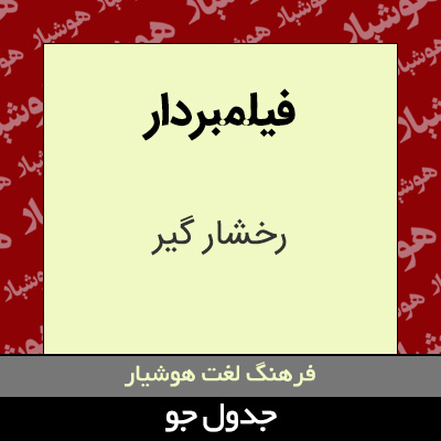 تصویری از فیلمبردار