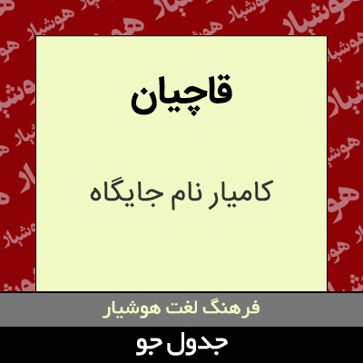 تصویری از قاچیان