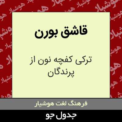 تصویری از قاشق بورن