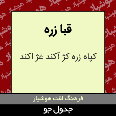 تصویری از قبا زره