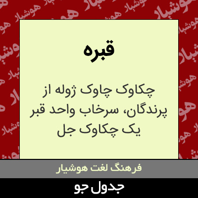 تصویری از قبره