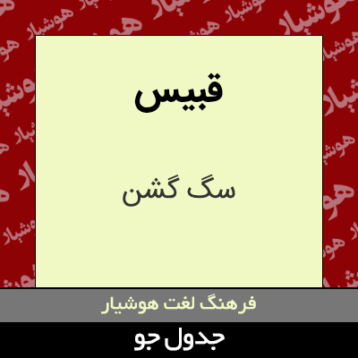 تصویری از قبیس