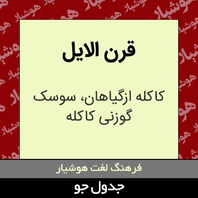 تصویری از قرن الایل