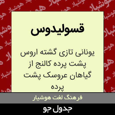 تصویری از قسولیدوس