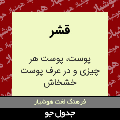 تصویری از قشر