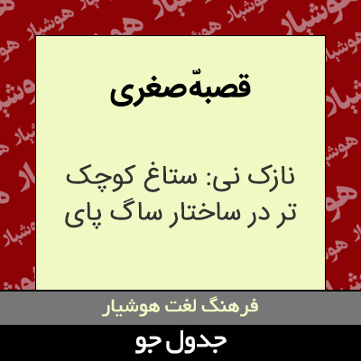 تصویری از قصبهّ صغری