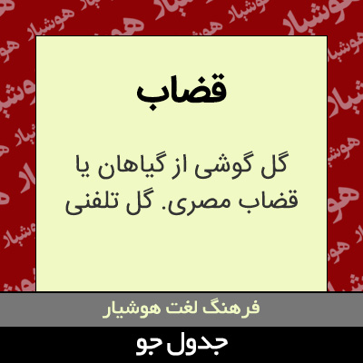 تصویری از قضاب