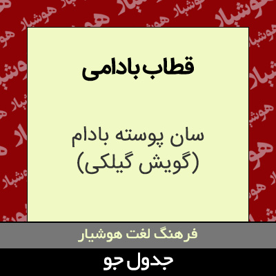 تصویری از قطاب بادامی