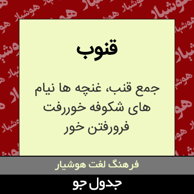 تصویری از قنوب