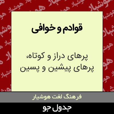 تصویری از قوادم و خوافی