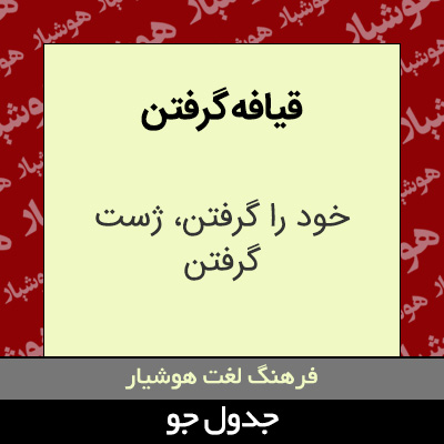 تصویری از قیافه گرفتن