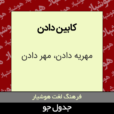 تصویری از کابین دادن