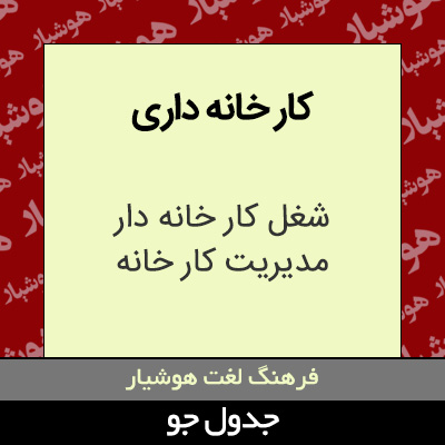 تصویری از کار خانه داری