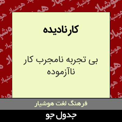 تصویری از کار نادیده