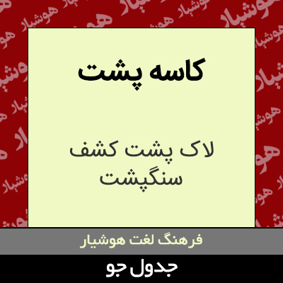 تصویری از کاسه پشت