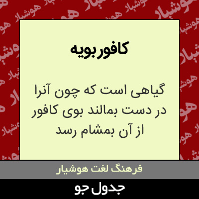 تصویری از کافور بویه