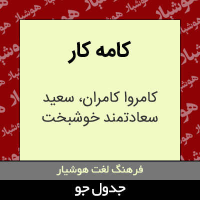 تصویری از کامه کار