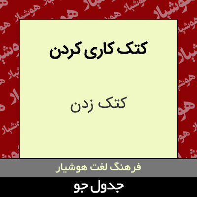 تصویری از کتک کاری کردن