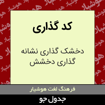 تصویری از کد گذاری