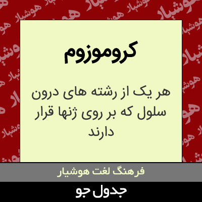 تصویری از کروموزوم