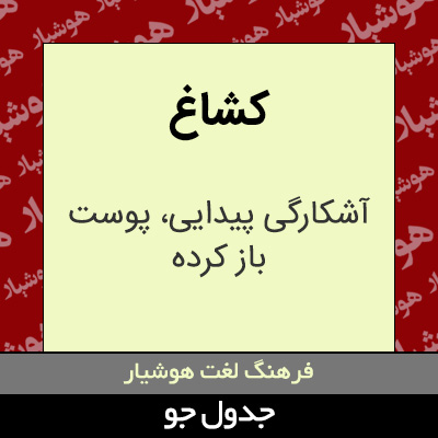 تصویری از کشاغ