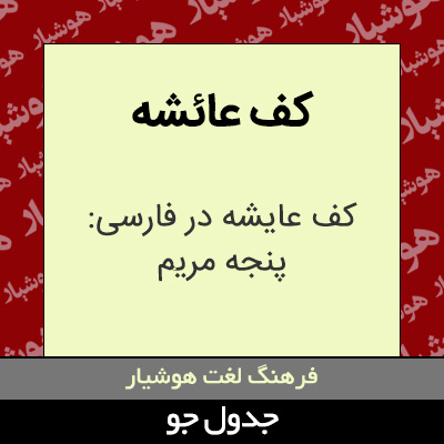 تصویری از کف عائشه