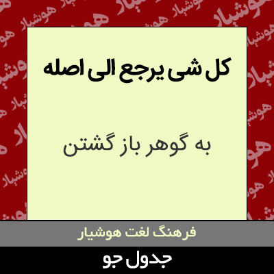 تصویری از کل شی یرجع الی اصله