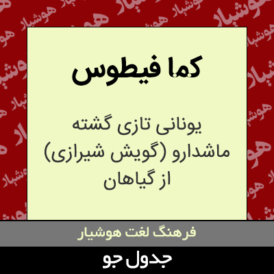 تصویری از کما فیطوس