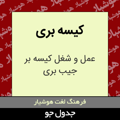 تصویری از کیسه بری