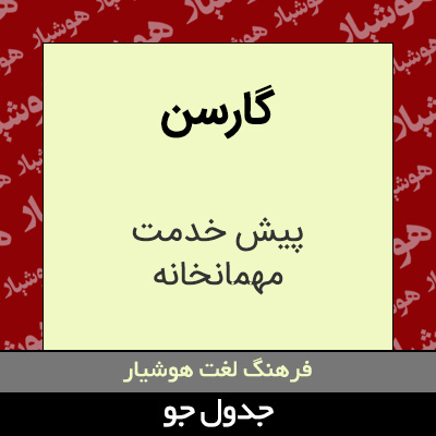 تصویری از گارسن