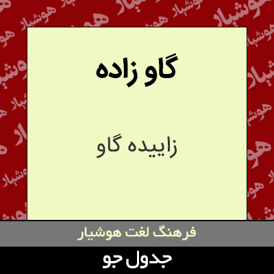 تصویری از گاو زاده