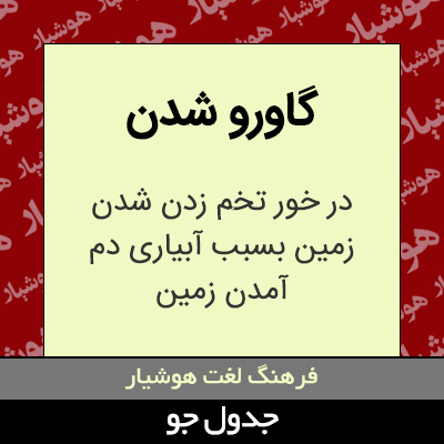 تصویری از گاورو شدن