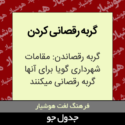 تصویری از گربه رقصانی کردن