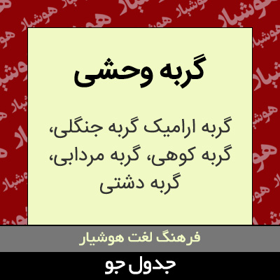 تصویری از گربه وحشی