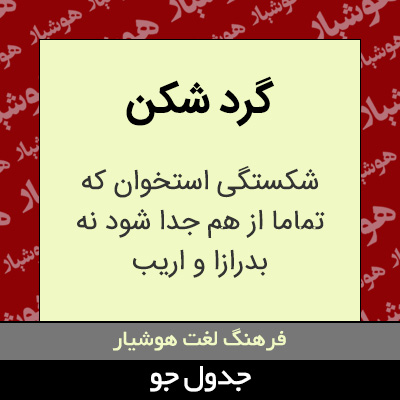 تصویری از گرد شکن