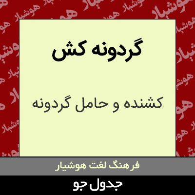 تصویری از گردونه کش