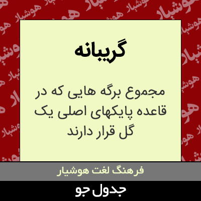 تصویری از گریبانه