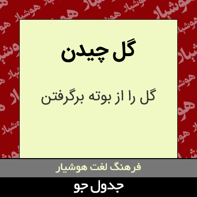 تصویری از گل چیدن