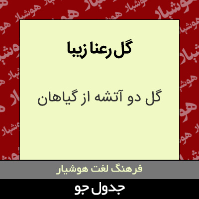 تصویری از گل رعنا زیبا