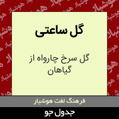 تصویری از گل ساعتی