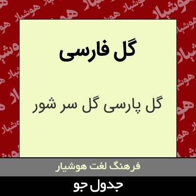 تصویری از گل فارسی