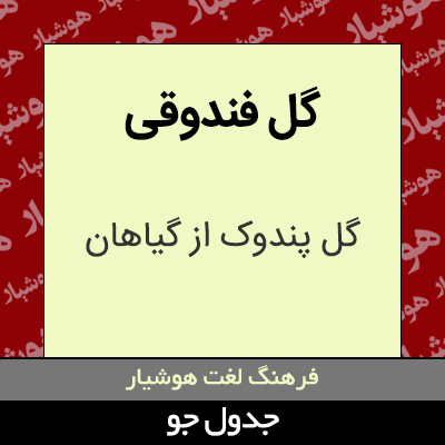 تصویری از گل فندوقی